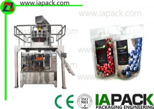 cranberries premade pouch packing machine automatic checking system