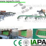 horizontal carton wrapping machine , automatic cartoning machine